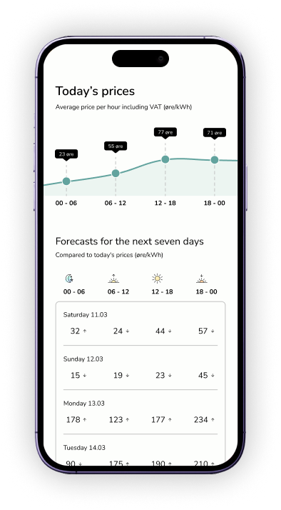 Picture showing data and component examples for actual prices